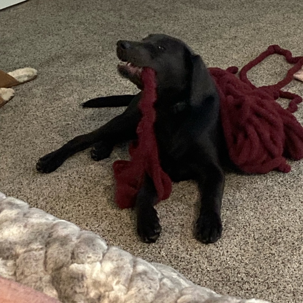 Just an image priceless